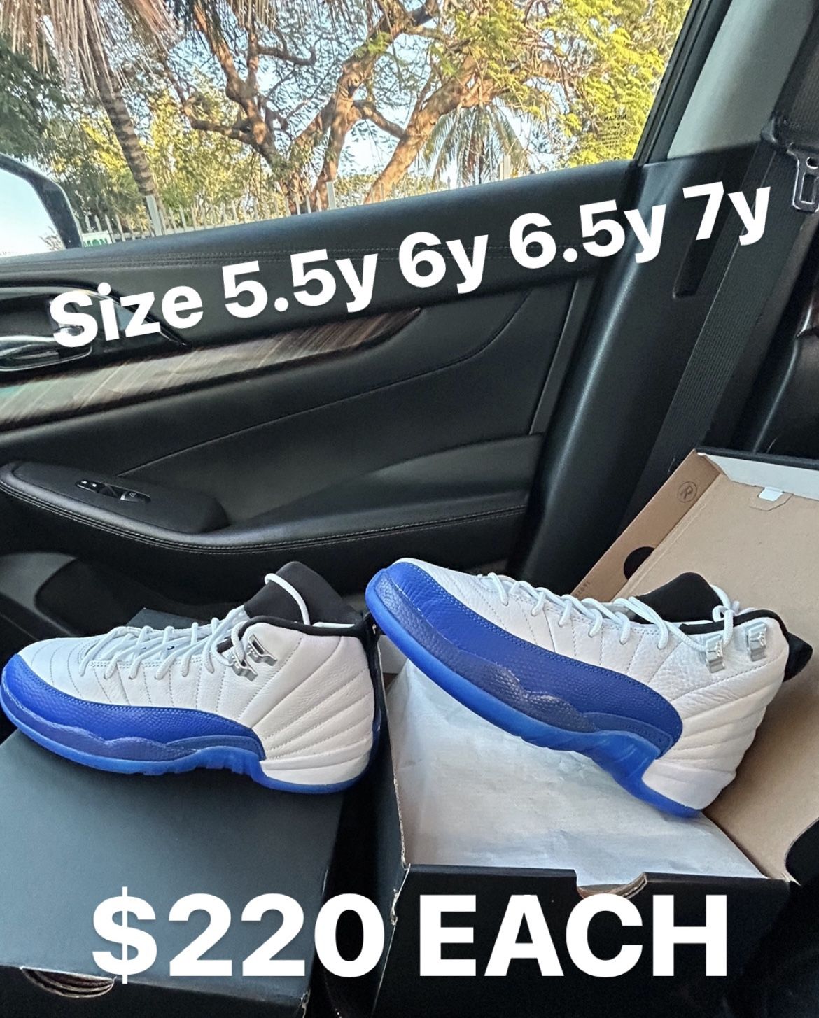Air jordan 12s ^Blueberry^