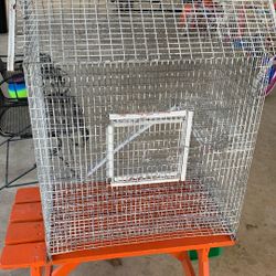 Bird Cage Nice Solid