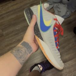 LeBron 20 Nike Lifer Size 12