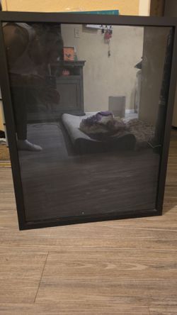 Large Display Case
