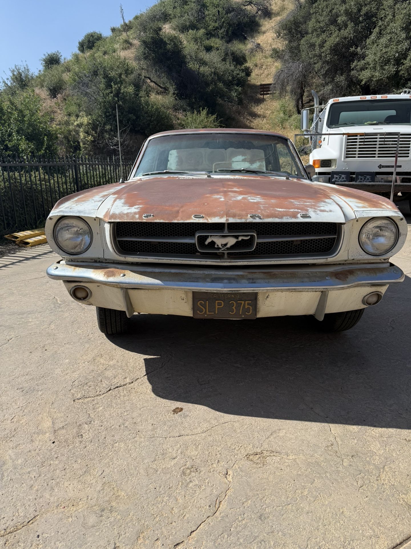 1965 Ford Mustang