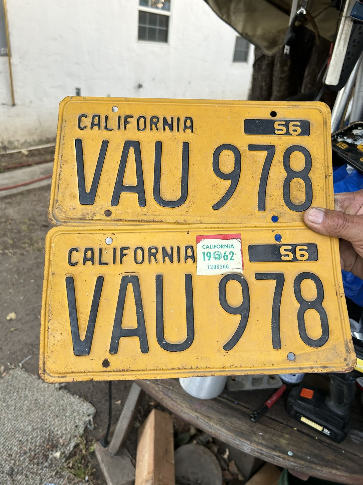 1956 License Plate Yellow 