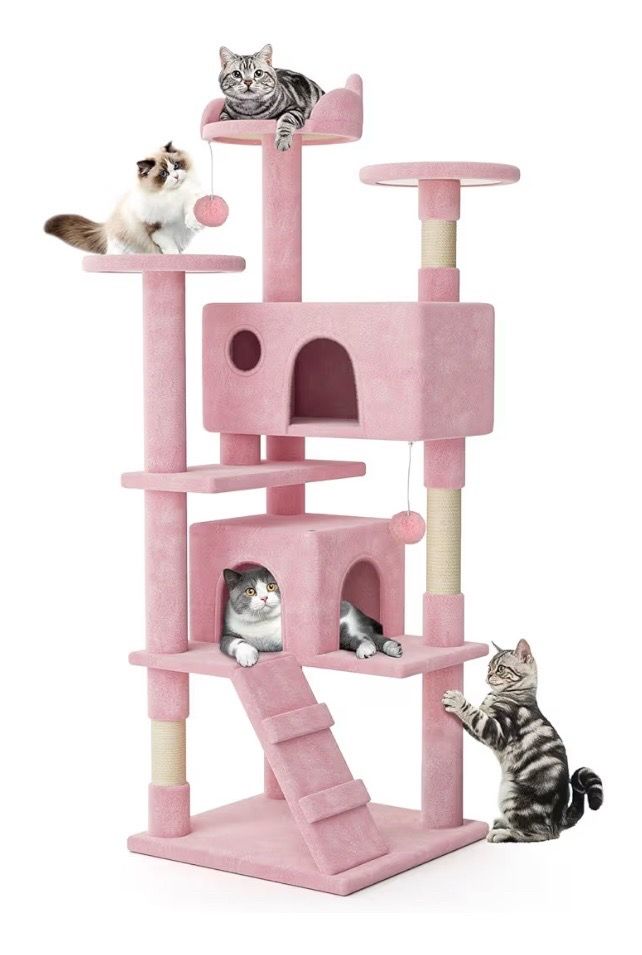 Cat house