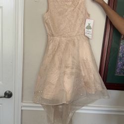Girls Dress Rare Editions Size 12