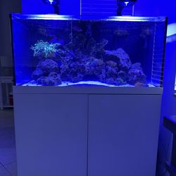 150 gallon Prostar Aquarium Fish Tank