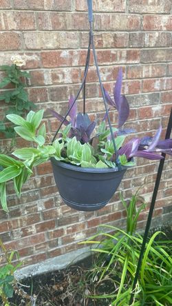 Outdoor hanging basket