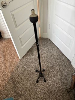 Cane