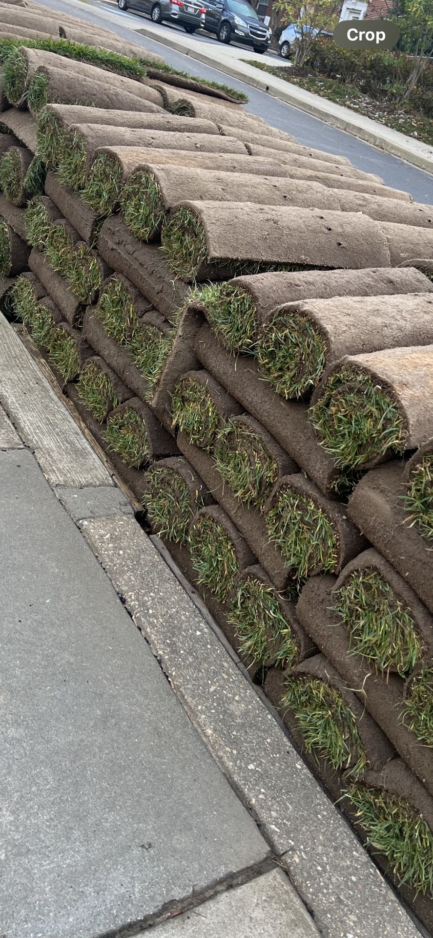 Sod Fresh