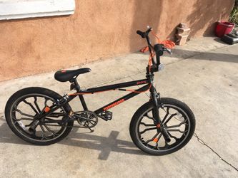 Mongoose rebel