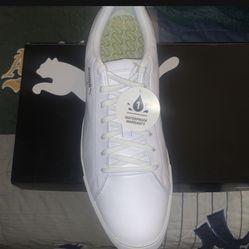 Brand New Puma Shoes