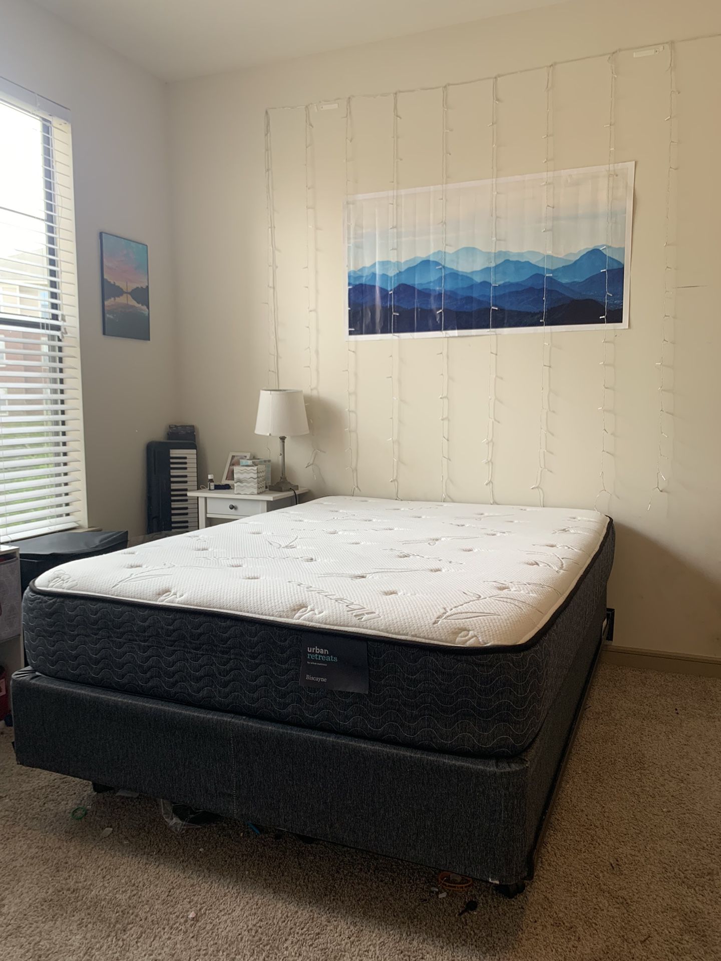 Full Bed Set (Mattress, Box Spring, Bed Frame)