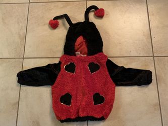 Child’s ladybug costume