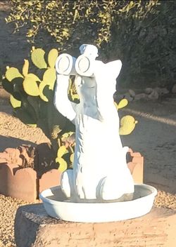 Fountain statue birdwatcher
