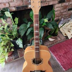 Fender Acoustic Electric Guitar