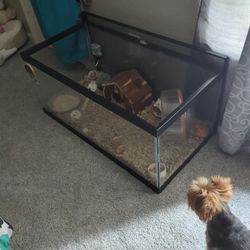 Large Glass Aquarium 