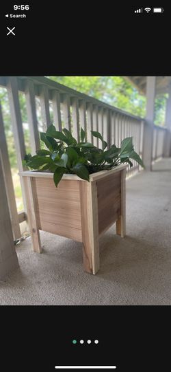 Cedar Planter Boxes