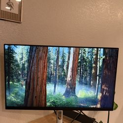 Dell P2422H 24” IPS Monitor - New