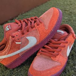 Nike sb