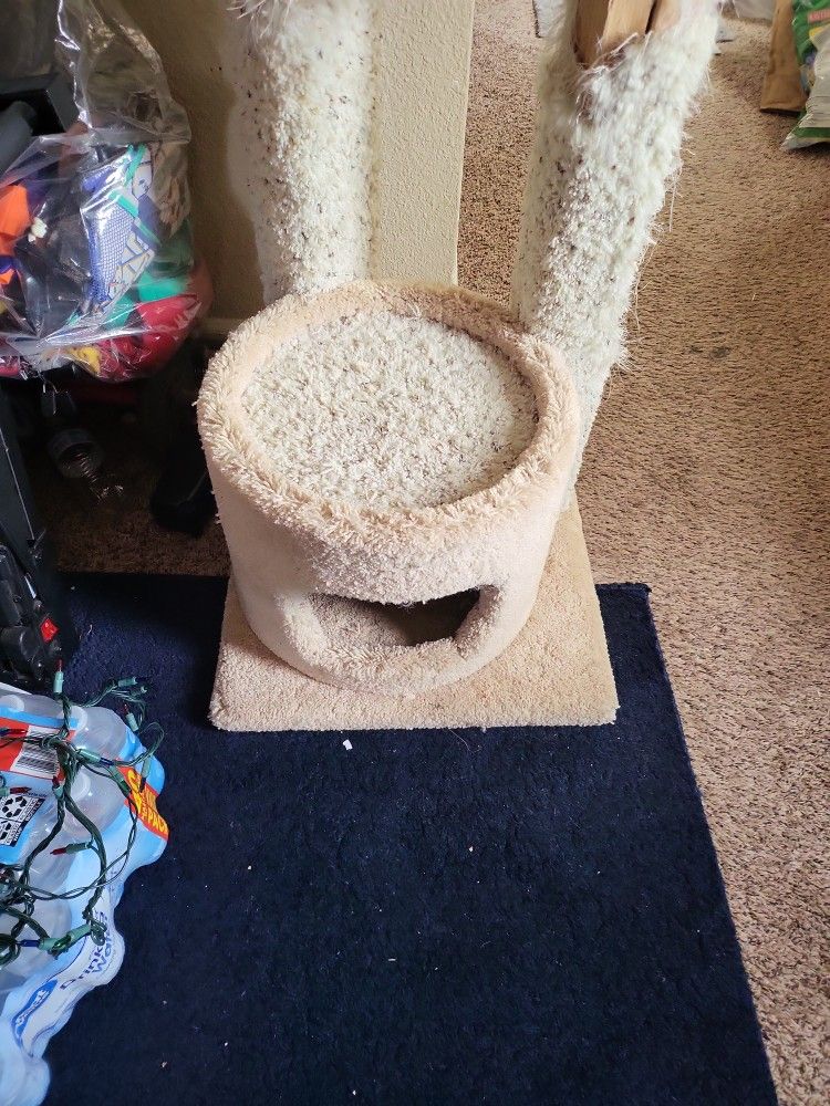 Cat Tree