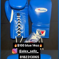 Boxing Gloves $100