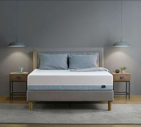 Zinus queen size mattress