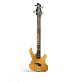 Washburn Electric Bass Guitar & Amp