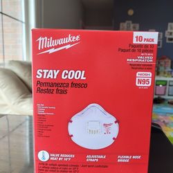 N95 Face Mask
