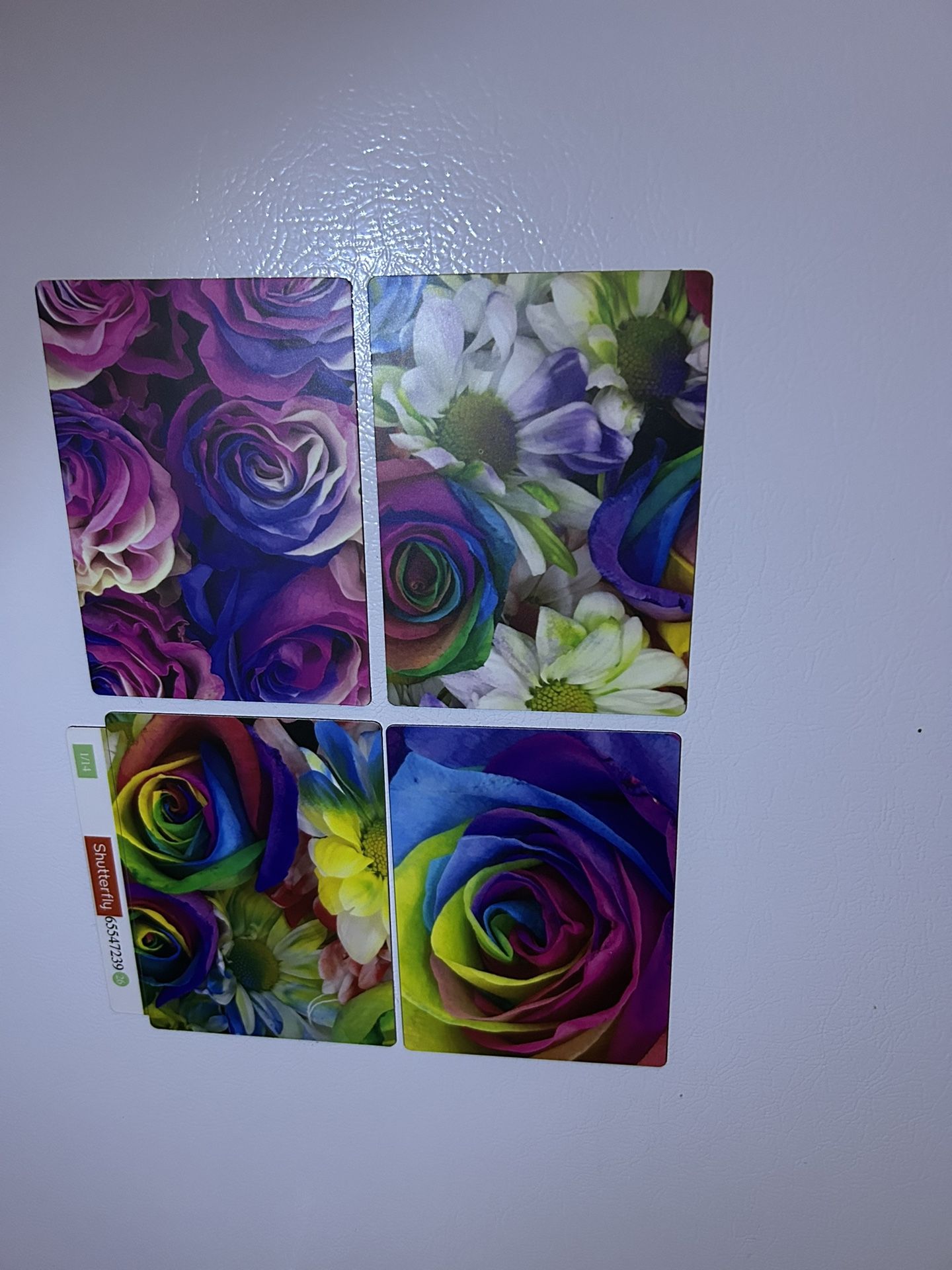 Floral photographic magnets 4.5X5 $5 each