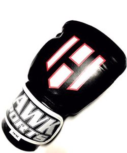 10oz training gloves