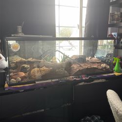 Reptile enclosure 