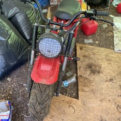 Mini Bike B200 Coleman 