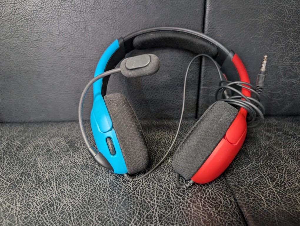 Nintendo Switch Headphones