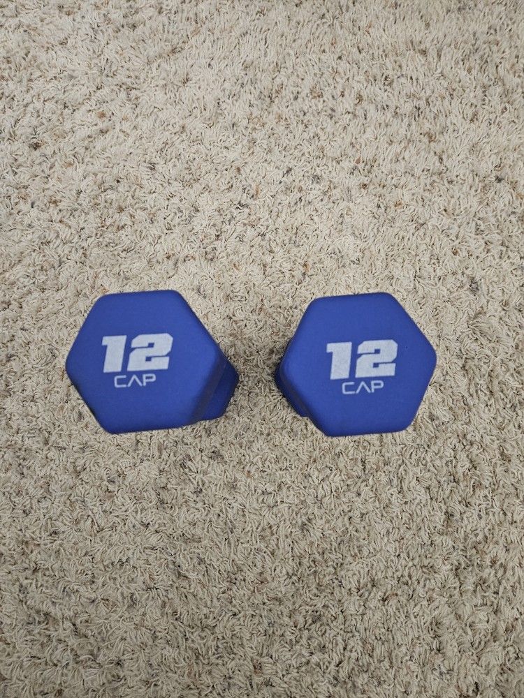 12Lbs. Dumbbell Set