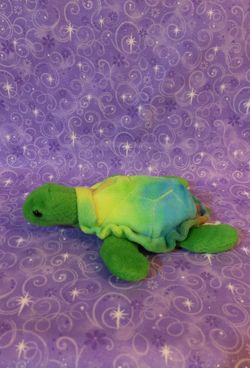 Bean Turtle