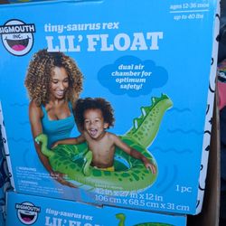Pool Floaties