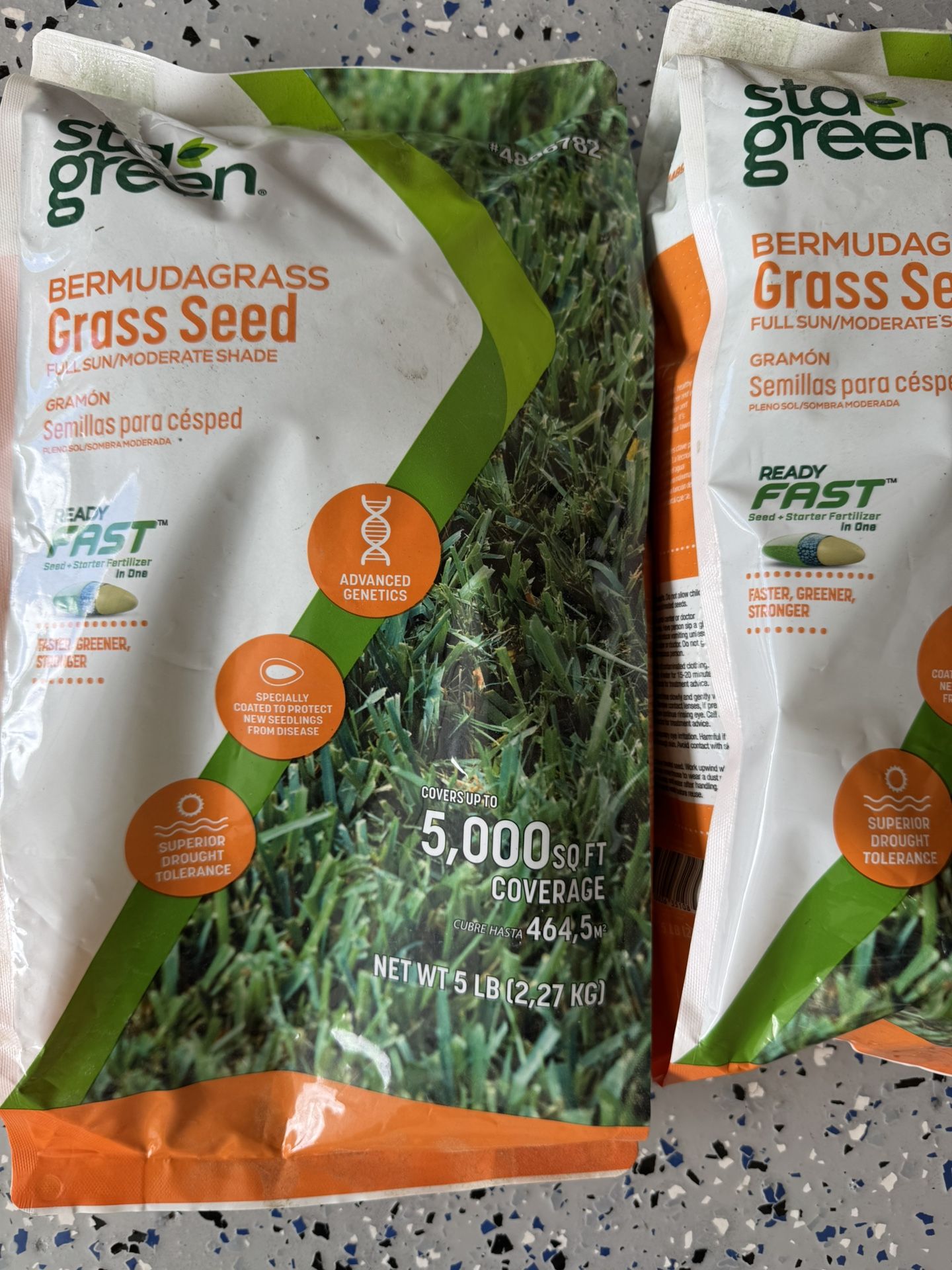 Grasss Seed