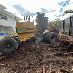 Stump Grinding 
