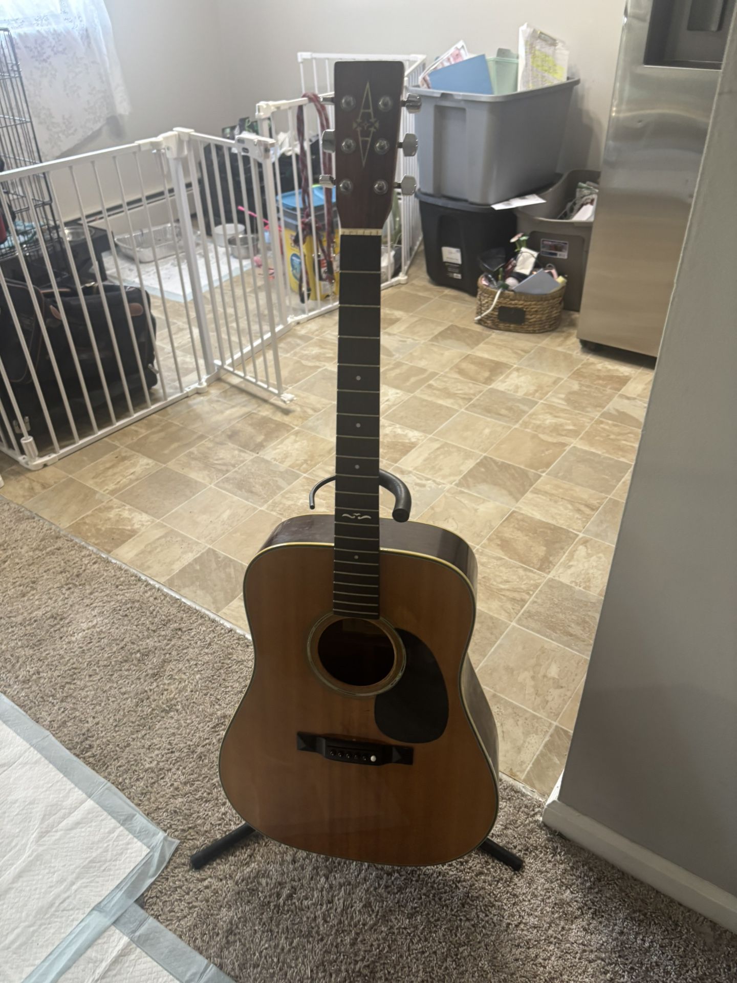 Acoustic guitar