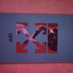 Off-white x kAWS  Rug 