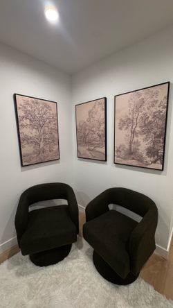 Accent chairs great condition