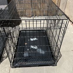 Medium-size dog crate