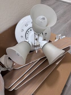 Ceiling fan