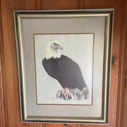 Hand Drawn  Eagle Picture Original 