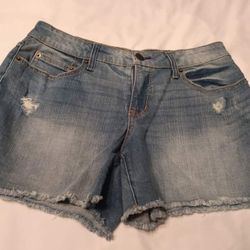Women's Jean Shorts Size 10 Time and Tru Blue