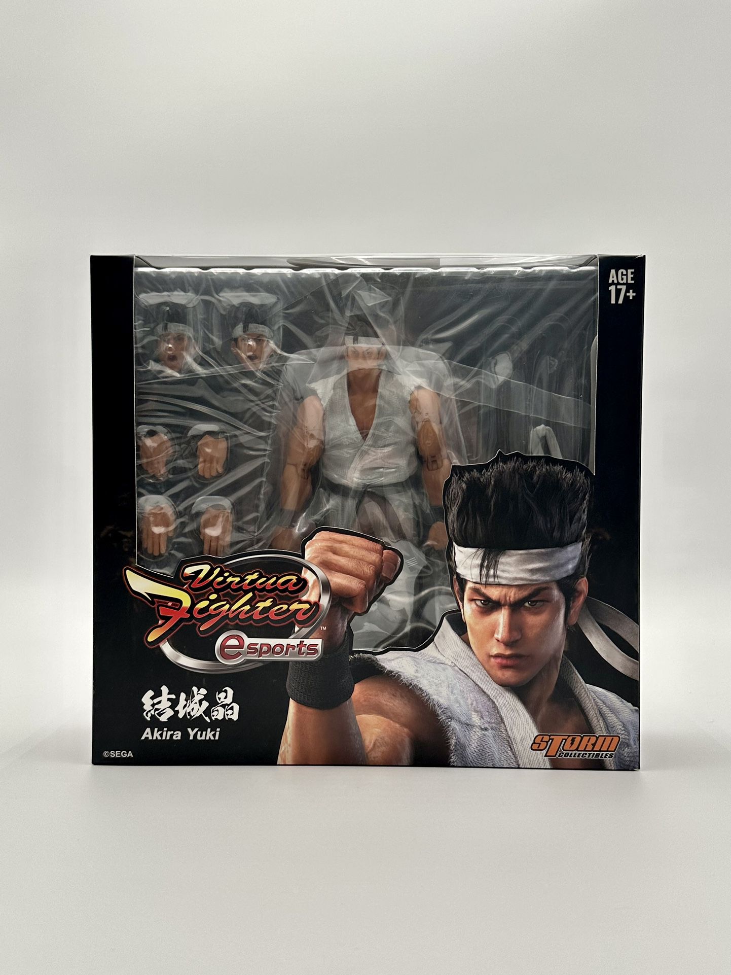 Akira Yuki - Storm Collectibles 1/12 Scale Figure from Virtua Fighter 5