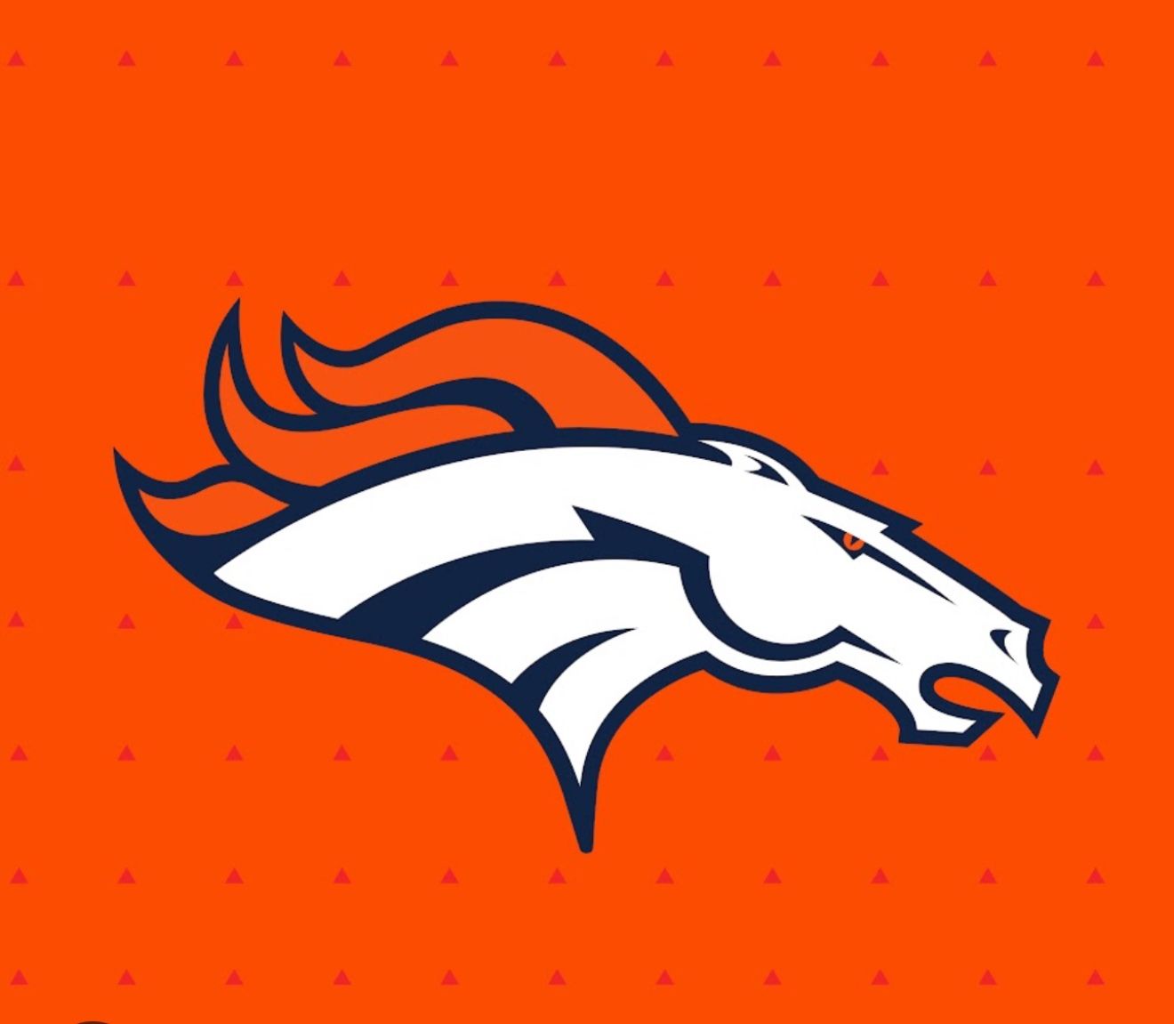 2 Tix November 24th Raiders vs Broncos 1:05 pm Section 432 Row 6 Seats 24 25 $250 ea,All Products : American Fashion Style Bags On Sale