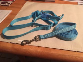 Brand New Harness and 5ft Leach
