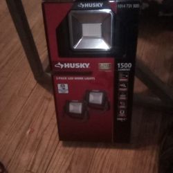 Husky 2 Pk Led Work Light