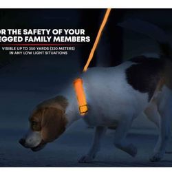 NEW! Illumiseen LED Glow Dog Collar, USB Rechargeable, Bright & High Visibility (Orange, XS)