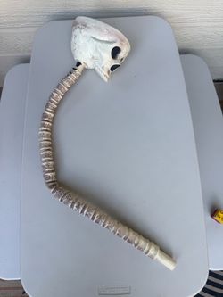 Alien Snake Skull Halloween Prop Decoration